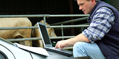 Landwirt am Laptop
